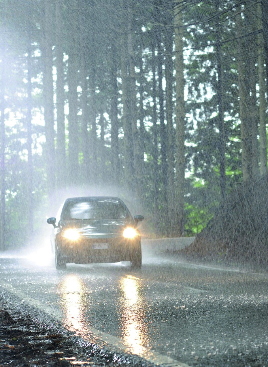 Auto fährt bei Regen durch den Wald